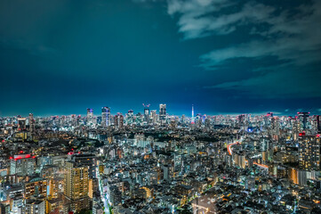 Obraz premium 日本の首都東京の夜景