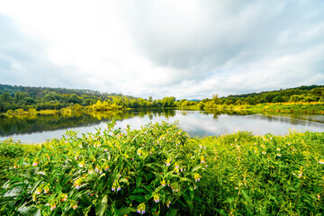 View of the landscape at the Oesenteich near Menden. Nature in the Sauerland. 