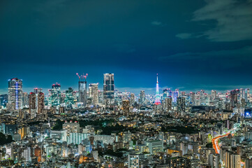 Fototapeta premium 日本の首都東京の夜景