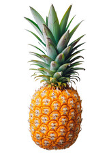Fototapeta premium a pineapple isolated on transparent background, Top view
