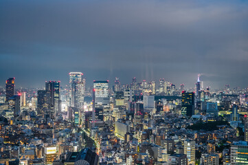 東京の夜景と雷
