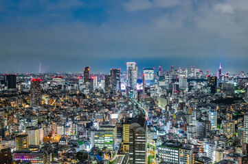 Fototapeta premium 東京の夜景と雷