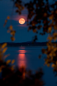The rising of the August Moon is reflected in the water