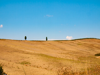 Obraz premium Italia, Toscana, Siena, panorami della Val d'Orcia.