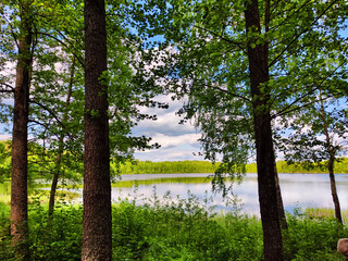 lake in the woods