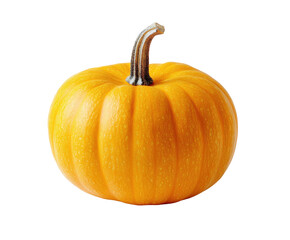 Bright orange pumpkin isolated on white background. PNG transparent.