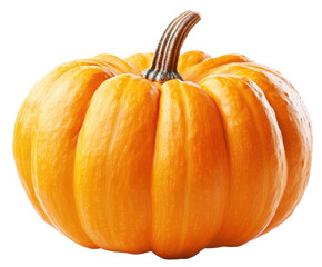 Bright orange pumpkin isolated on white background. PNG transparent.