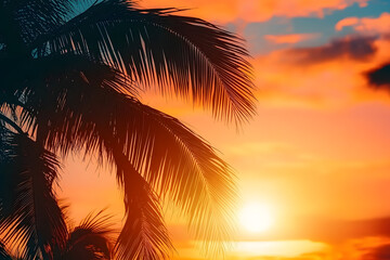 Silhouette of palm trees at sunset, sunrise. The sun is low. Orange light of the sky. Summer beach and travel background. Blurred backdrop. Copy space