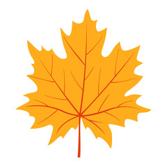 Yellow Autumn maple leaf. Hand drawn trendy flat style isolated. autumn leaf, golden season. Vector illustration
