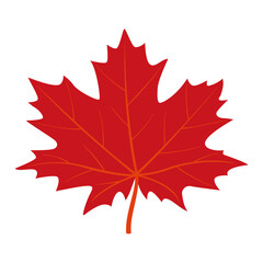 Red Autumn maple leaf. Hand drawn trendy flat style isolated. autumn leaf, golden season. Vector illustration