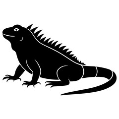 Collection of iguana detailed vector illustration, iguana animal Silhouette, iguana lizard logotype icon, and vector illustration.