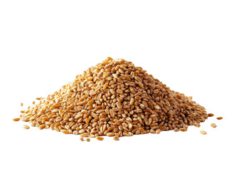 Pile of wheat grains isolated on white background. PNG transparent.