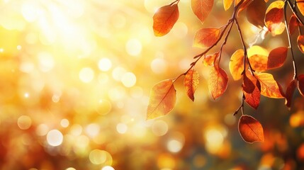 Obraz premium A branch with autumn leaves, bathed in warm sunlight, creating a glowing, abstract background for the fall season.