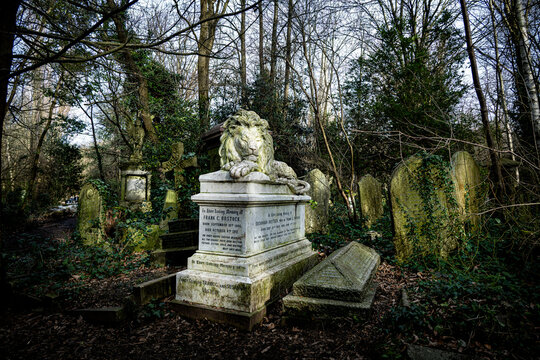 An old overgrown cemetery in London