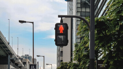 Pedestrian crossing signal on Japanese streets.
