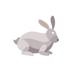 Obraz premium A grey rabbit sitting on the ground.