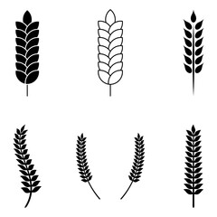 Set of Wheat or grain icon vector logo design template