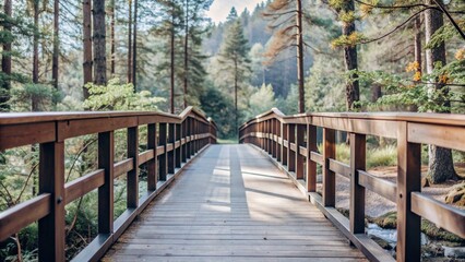 Obraz premium Photo beautiful shot of greenery and a bridge in the forest perfect for background 
