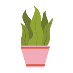 Plant in pot illustration