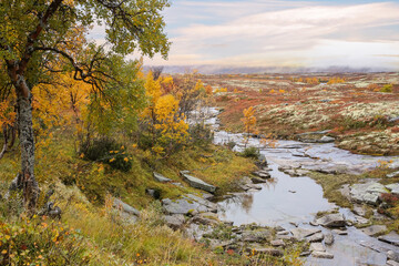 Autumn in Forollhogna National park, Norway