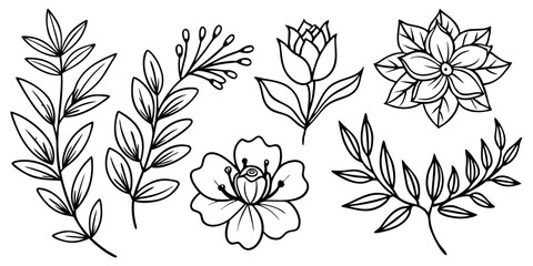 A Versatile Collection of Black and White Wheat Ear and Floral Vector Designs, set of black and white flowers, vector set of ears