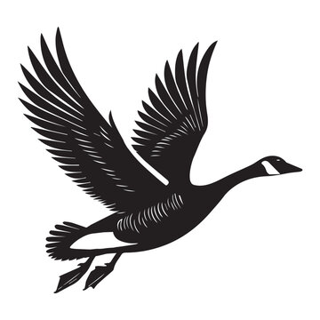 recommend clip art: Canada goose Silhouette,  Branta Canadensis Duck Clipart, Canada Goose flying Illustration black and white 