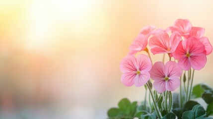 Delicate pink flowers blooming softly with a blurred background, perfect for a serene and calming atmosphere.