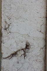 taş