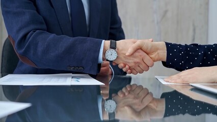 Professional handshake between two professionals and applauds at
