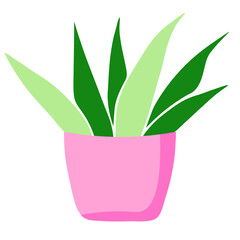 A pink potted plant with large green leaves