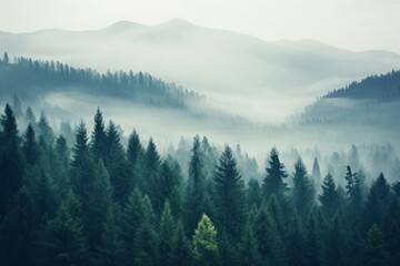 Fototapeta premium Misty mountain landscape forest mist outdoors.