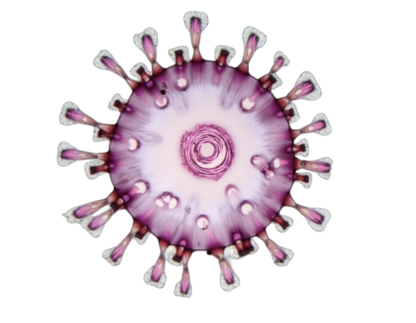 spherical spiral virus on the alpha isolated transparent background