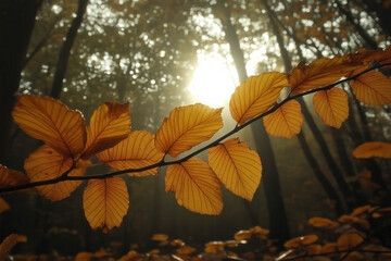 Obraz premium Autumn Season