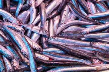 Black Sea anchovy fish sold on the counter at the fishmonger,