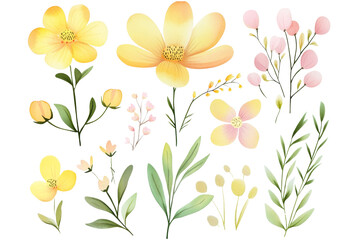 Set of colorful flowers on transparent background, isolated, AI generated
