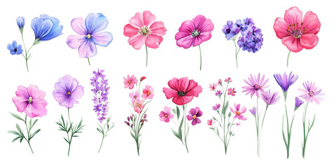 Set of colorful flowers on transparent background, isolated, AI generated