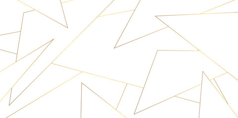 	
Abstract luxury geometric random chaotic lines with many squares and triangles shape background. Network technology connection web design concept line. technology concept geometric line vector.