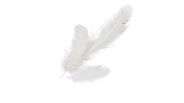 Capture feathers gently falling, creating a soft, airy effect.