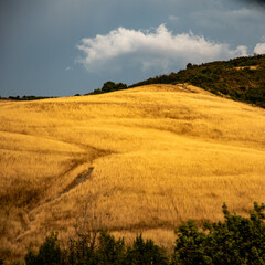 val d'orcia