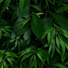 Fototapeta premium Dark green leaf in garden. Natural green leaves plants using background cover page environment ecology or wallpaper