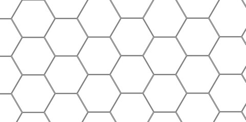 Abstract minimal geometric white and black light background design. Vector illustration of hexagons pattern. luxury white pattern geometric mesh cell texture. Modern pattern elegant gold line template