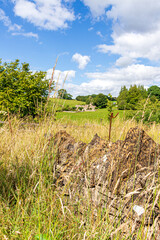 Fototapete bei efototapeten.de bestellen   