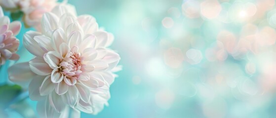  A tight shot of a pink blossom against a blurred backdrop, speckled with twinkling lights in the distance