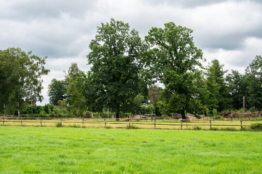Green meadows and trees at the Fischerhuder W&uuml;mmeniederung, Niedersachsen, Germany