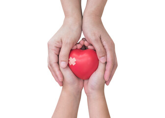 World first aid day, world heart health day, child parenting, nursing care, medical health and kid's insurance concept with pediatric patient's heart in nurse hands isolated on transparent background