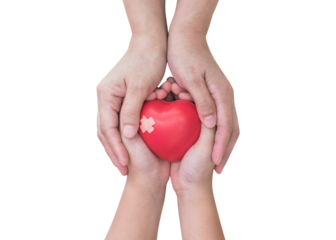 World first aid day, world heart health day, child parenting, nursing care, medical health and kid's insurance concept with pediatric patient's heart in nurse hands isolated on transparent background