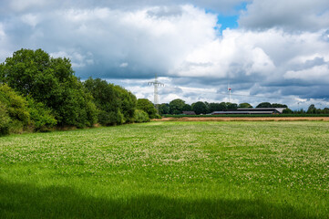 Fototapeta premium Green meadows and trees at the German countryside around Bredenau, Lower Saxony, Germany