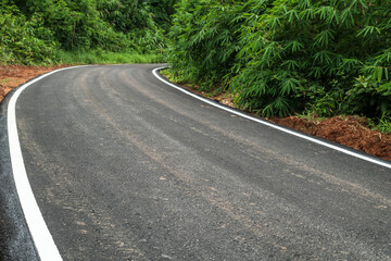 Landscape of road asphalt in countryside with forests.
