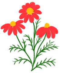Red Mexican aster