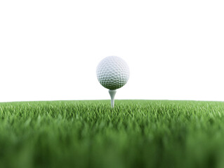 a golf ball on a tee in a grassy field